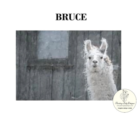 Bruce the Llama Decoupage Paper - Painting Lady Designs