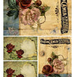 Vintage Roses Paper (DGR 60) - Calambour