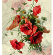 Delicate Poppies Rice Paper (DGR 178) - Calambour