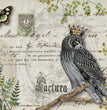 Owl Botanicals Rice Paper- Decoupage Queen