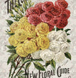 Roses Catalog Rice Paper- Decoupage Queen
