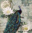 Peacock Majesty 0117 (Peacock) Rice Paper- Decoupage Queen