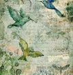 Afternoon Hummingbirds Rice Paper - Decoupage Queen