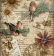 Autumn Birds Rice Paper- Decoupage Queen