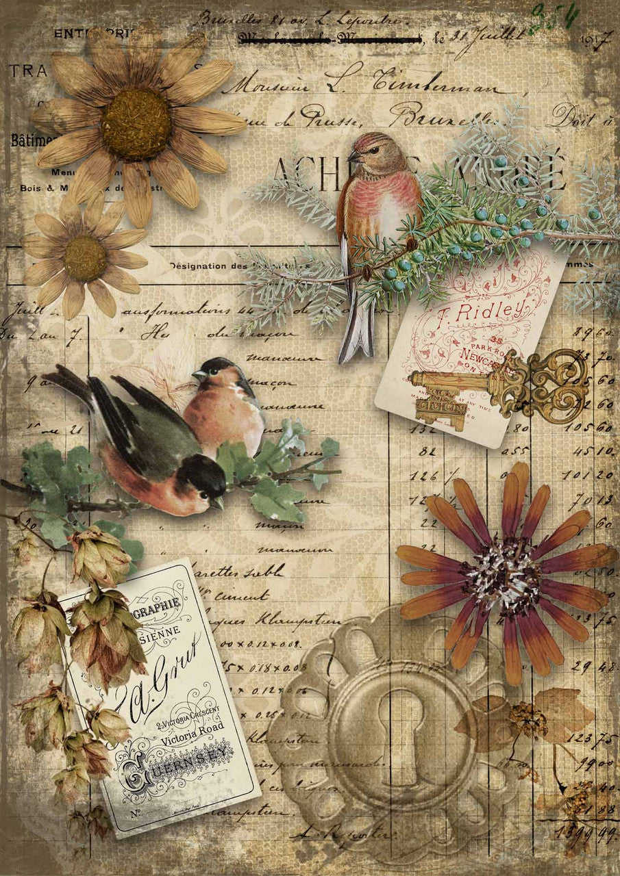 Autumn Birds Rice Paper- Decoupage Queen
