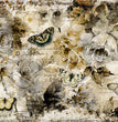 First Bloom Rice Paper - Decoupage Queen