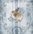 Spring Grain Sack Bunny Rice Paper - Decoupage Queen