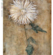 Flowers 0382 Rice Paper - Paper Designs