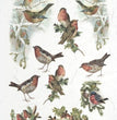 Winter Birds Rice Paper (R0200) - ITD Collection