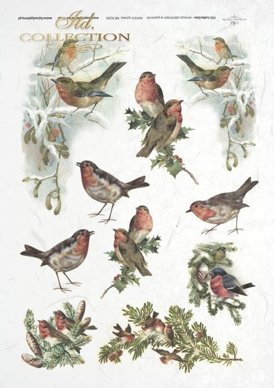 Winter Birds Rice Paper (R0200) - Decoupage Queen