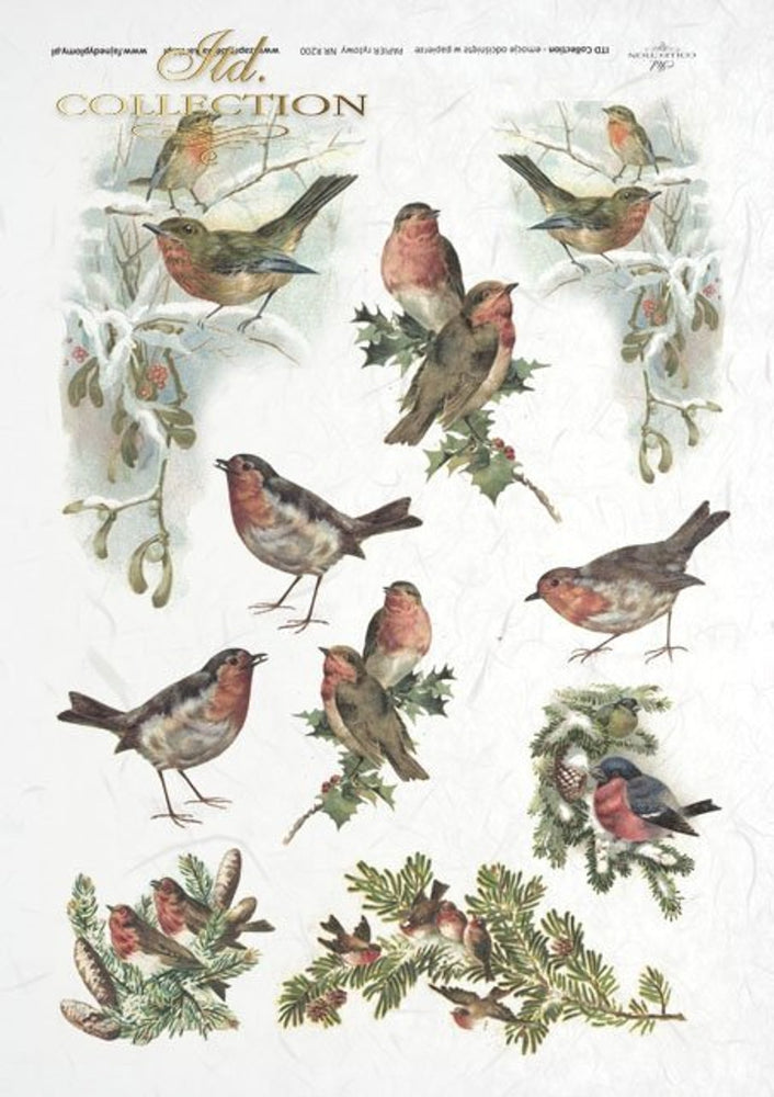 Winter Birds Rice Paper (R0200) - ITD Collection