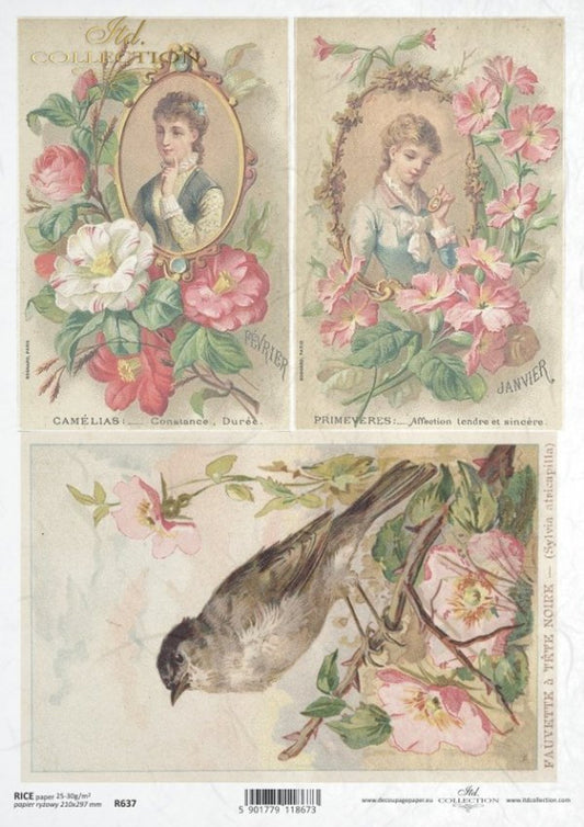 Vintage Spring Portraits (R0637) Rice Paper- Decoupage Queen