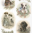Puppy Portraits (R1016) Rice Paper - ITD Collection