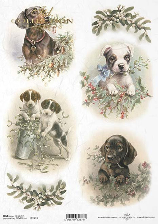 Puppy Portraits (R1016) Rice Paper- Decoupage Queen