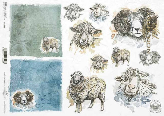 Sheep Portraits (R1556) Rice Paper- Decoupage Queen