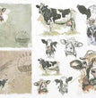Cow Portraits (R1561) Rice Paper - ITD Collection
