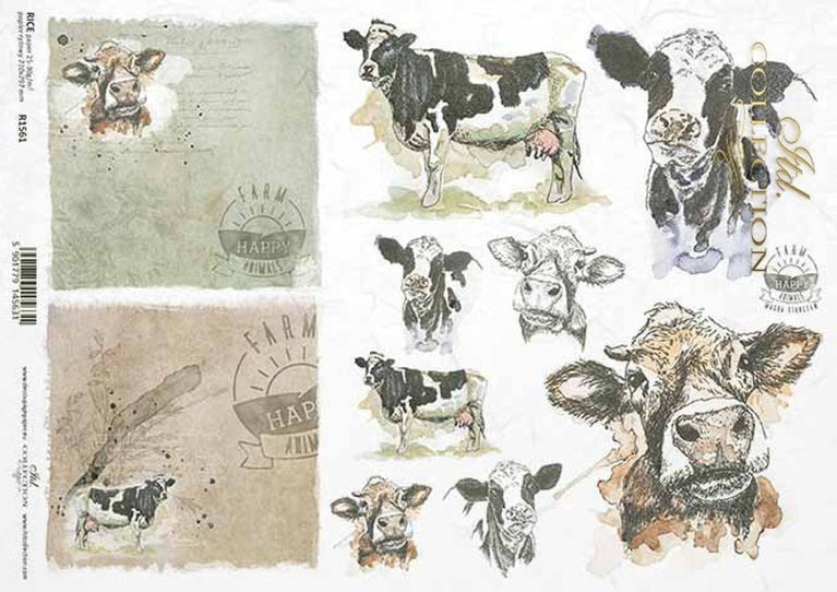 Cow Portraits (R1561) Rice Paper - ITD Collection