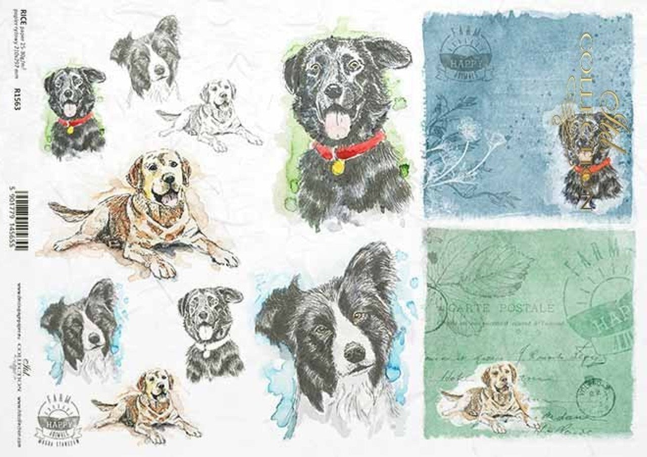 Dog Portraits (R1563) Rice Paper- Decoupage Queen