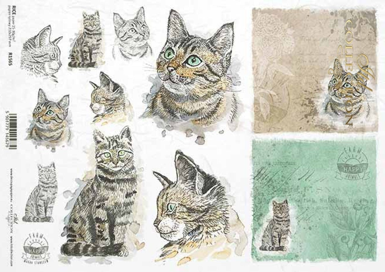 Cat Portraits (R1565) Rice Paper- Decoupage Queen