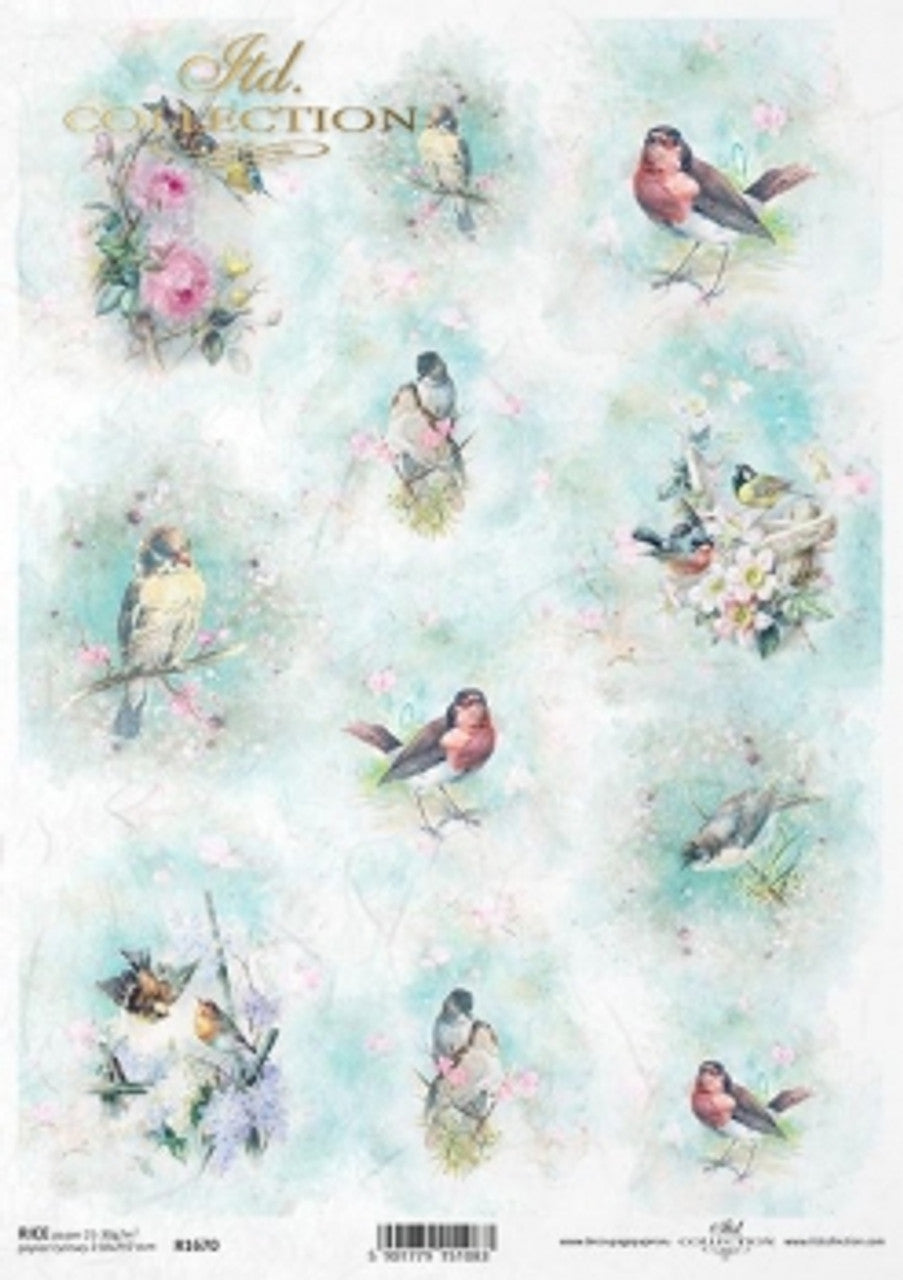 Spring Bird Portraits Rice Paper- Decoupage Queen