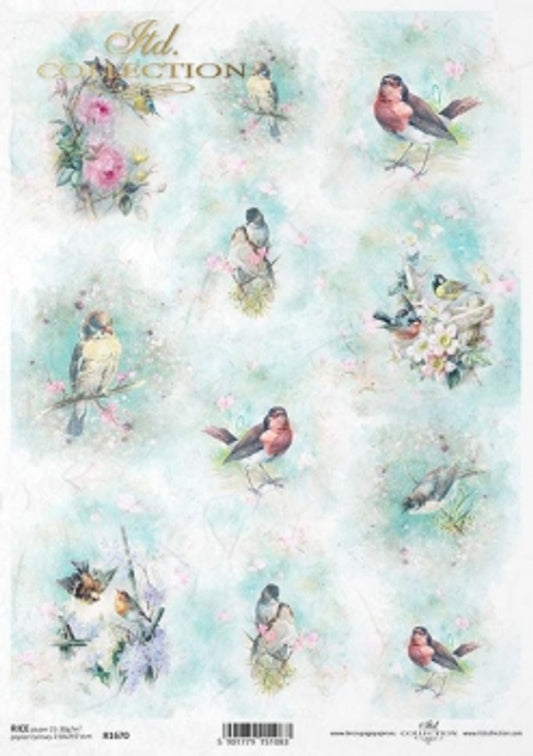 Spring Bird Portraits Rice Paper (R1670)- Decoupage Queen