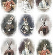 Bunny Portraits III Rice Paper- ITD Collection