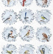 Bird Portrait Rice Paper (R1968) - ITD Collection