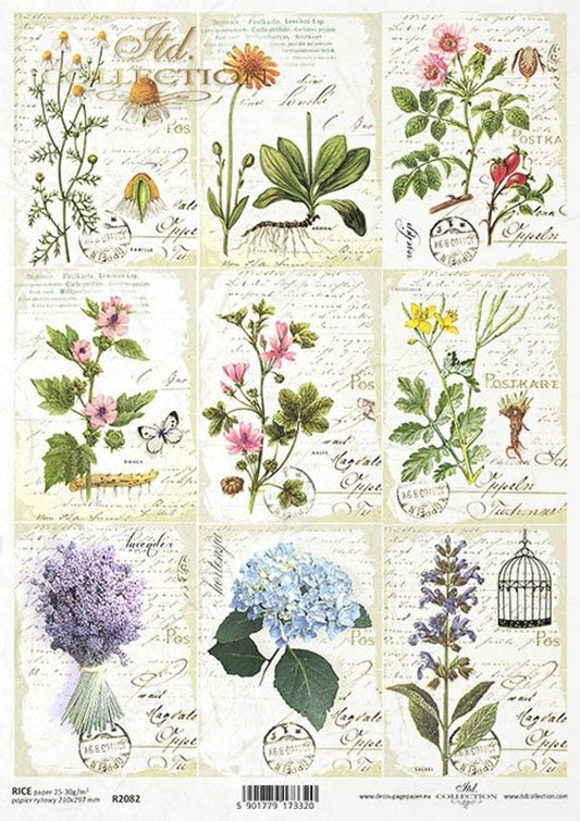 Mini Herbal Hydrangea Cards Rice Paper (R2082) - Decoupage Queen