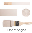 Champagne - Fusion Mineral Metallic Paint