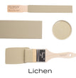 Lichen - Fusion Mineral Paint