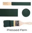 Pressed Fern - Fusion Mineral Paint