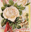 GR Gause & Co Rose Catalog Rice Paper (TT111)- Calambour