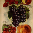 Superlative Raspberry & Triumph Peach Rice Paper - Calambour