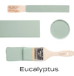 Eucalyptus - Fusion Mineral Paint