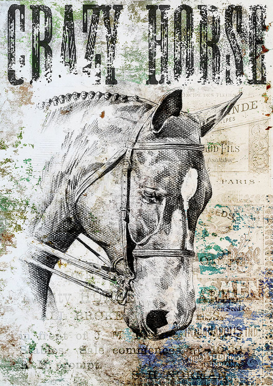 Animals 0179 (Crazy Horse I)- Decoupage Queen