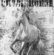 Animals 0180 (Crazy Horse II) - Paper Designs