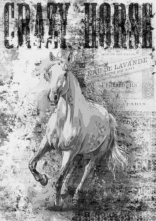 Animals 0180 (Crazy Horse II) - Paper Designs