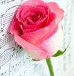 Musical Rose Rice Paper - Paper Designs