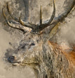 Yes, Deer - Decoupage Paper - MINT/GGS