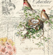 Bird Ephemera - Roycycled Decoupage Paper