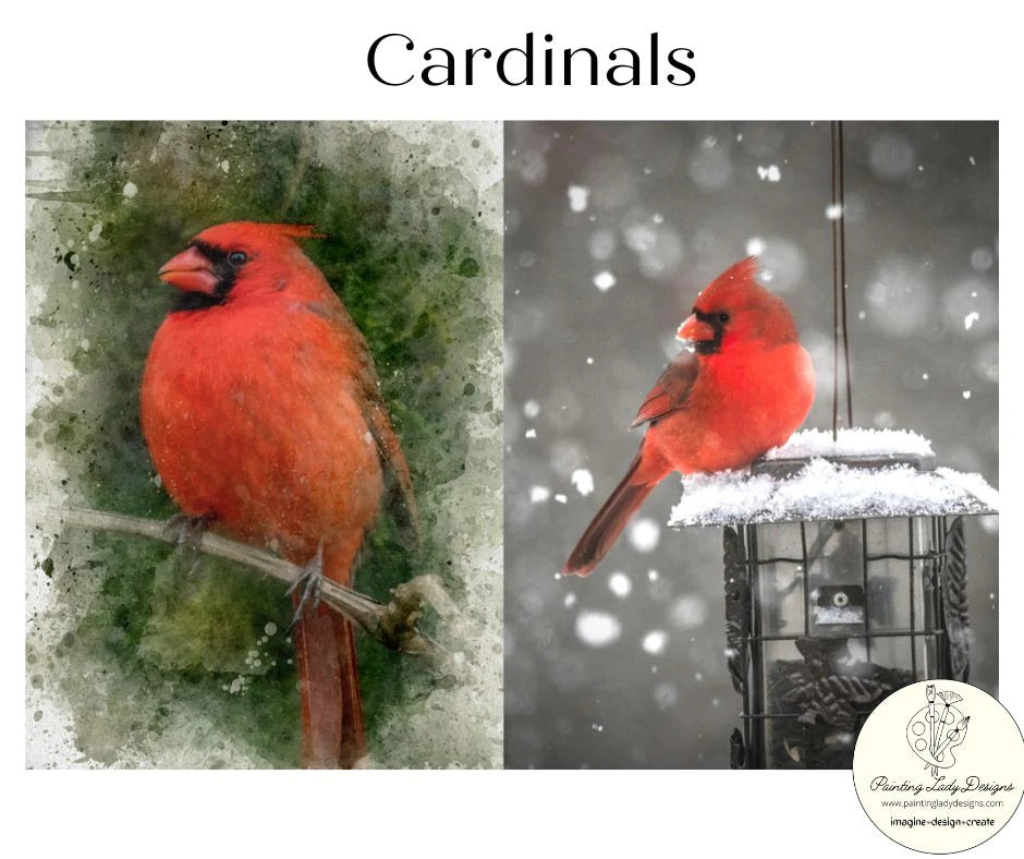 Cardinals - Painting Lady Designs