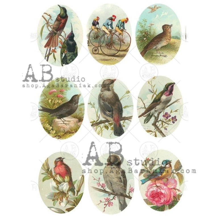 Bird Cameos Rice Paper (#0563) - AB Studios