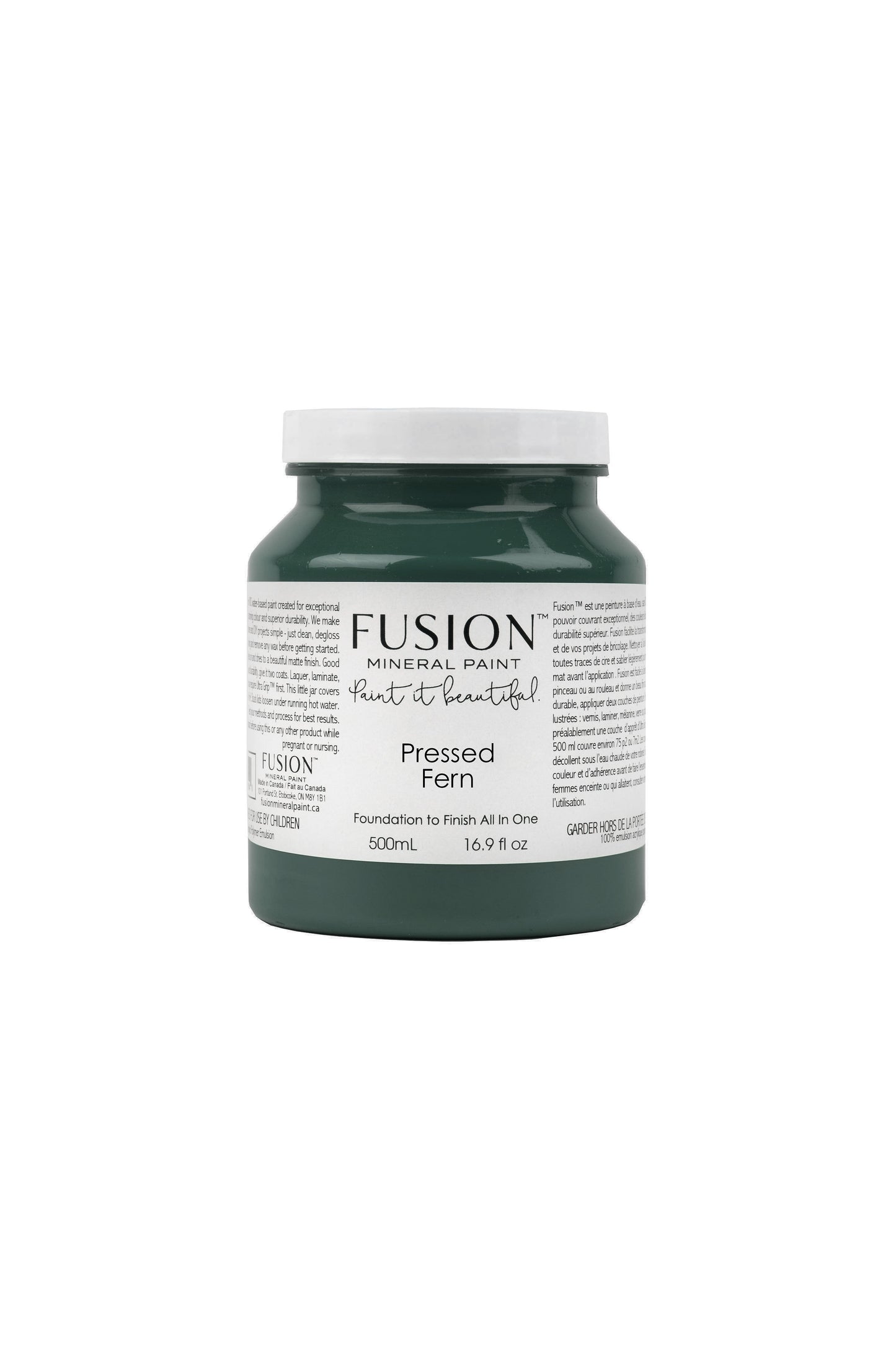 Pressed Fern - Fusion Mineral Paint