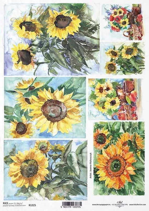 Sunflower Frames Rice Paper (R1225) - Decoupage Queen