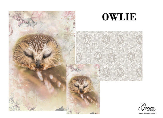 Owlie Rose Lace Decoupage Pack - HP