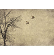 Flying Birds - Decoupage Paper - MINT/GGS