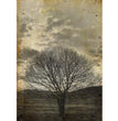Sepia Tree - Decoupage Paper - MINT/GGS