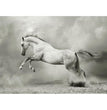 White Horse - Decoupage Paper - MINT/GGS