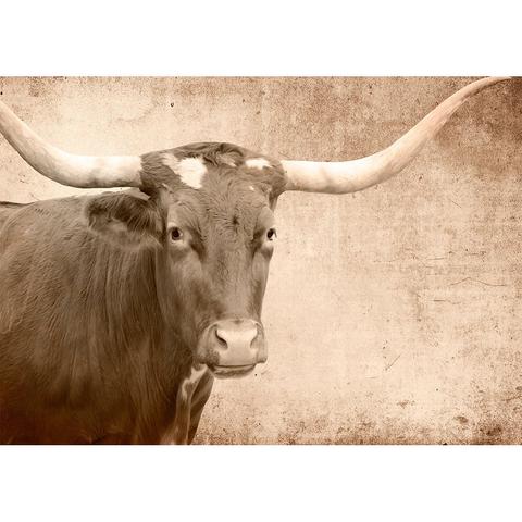 Texas Longhorn - Decoupage Paper - MINT/GGS