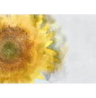 Sunflower Decoupage Paper - MINT/GGS
